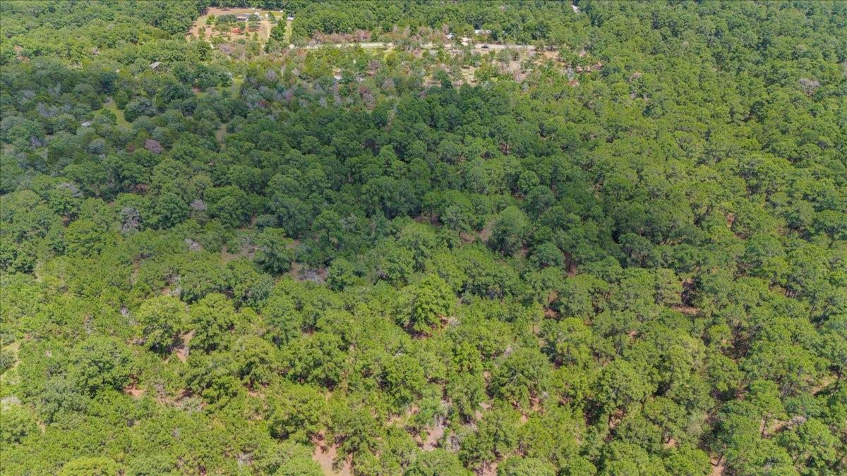 000 Pine Valley Loop Smithville TX 78612