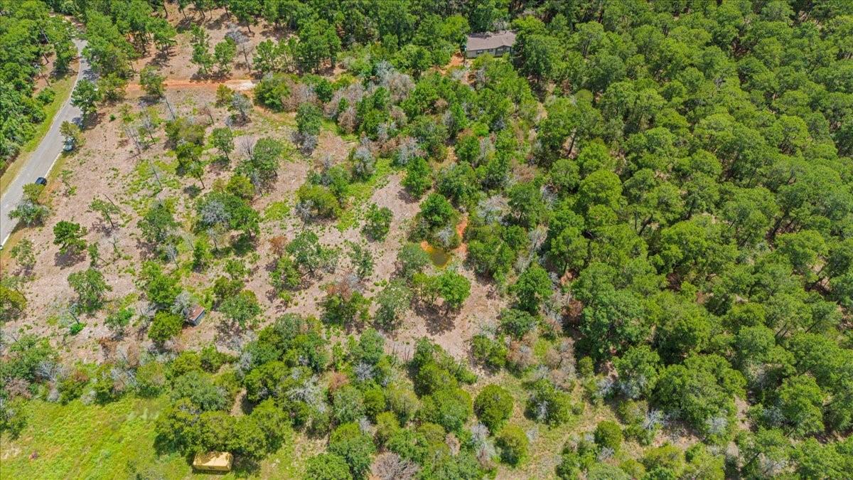 000 Pine Valley Loop Smithville TX 78612