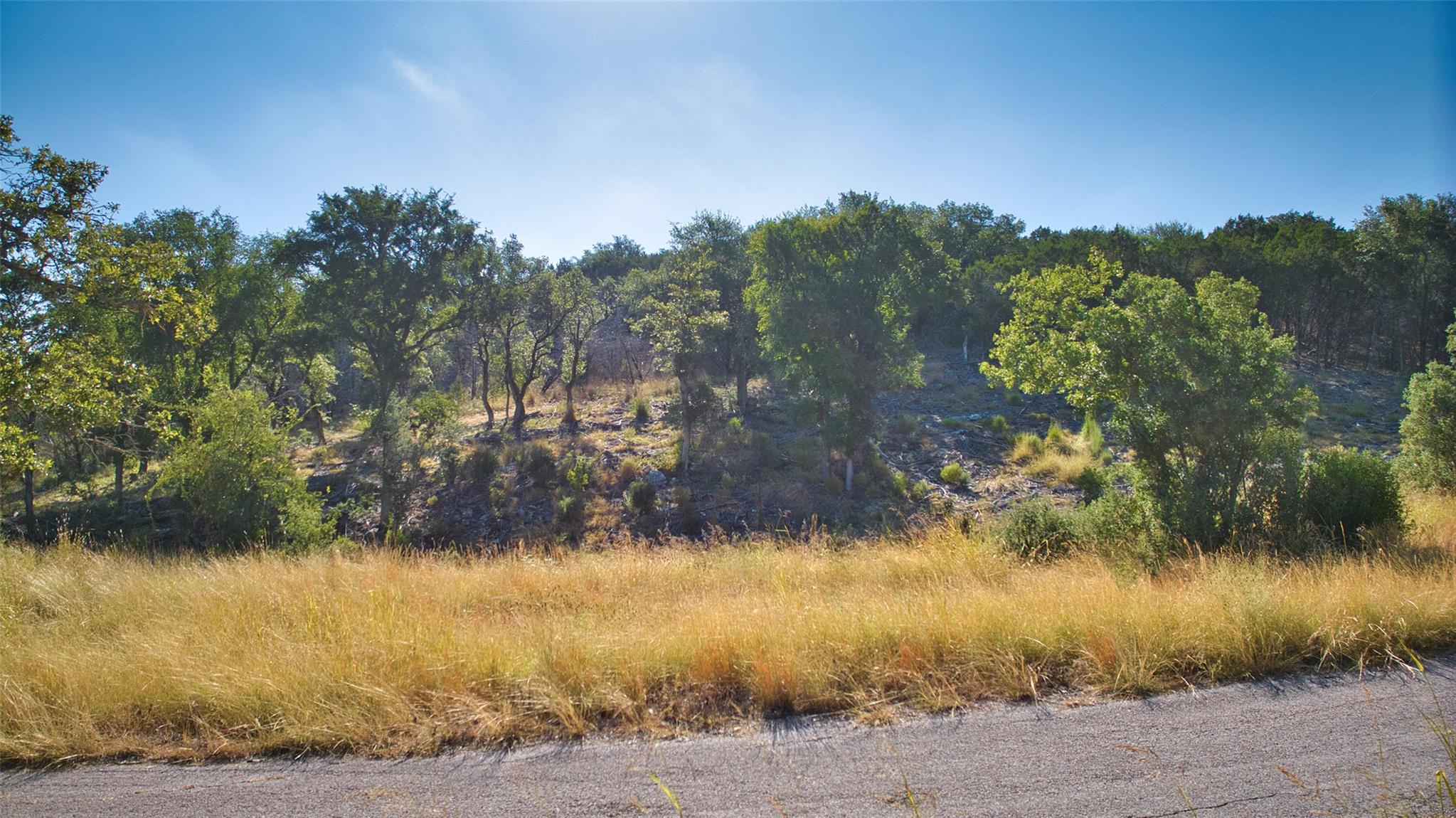 K12118 Buntline Special Horseshoe Bay TX 78657