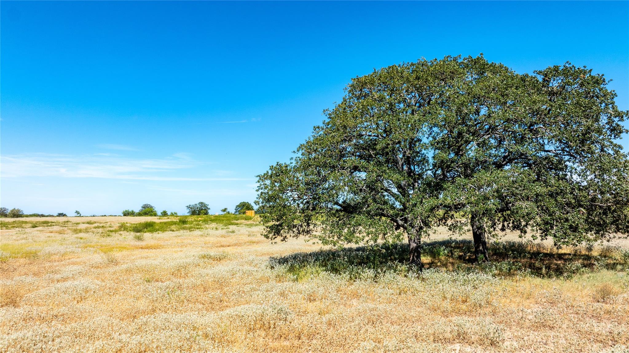 Lot 1c Tumbleweed Trail Dale TX 78616