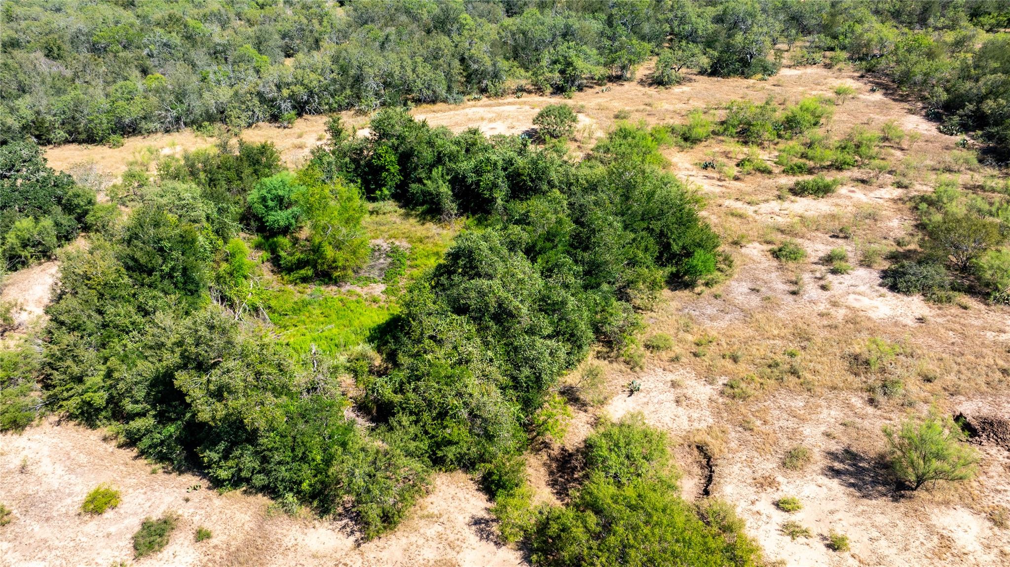 Lot 1c Tumbleweed Trail Dale TX 78616