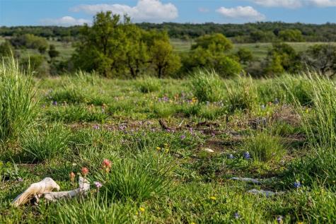 Lot 20 Gracewood Way Dripping Springs TX 78620