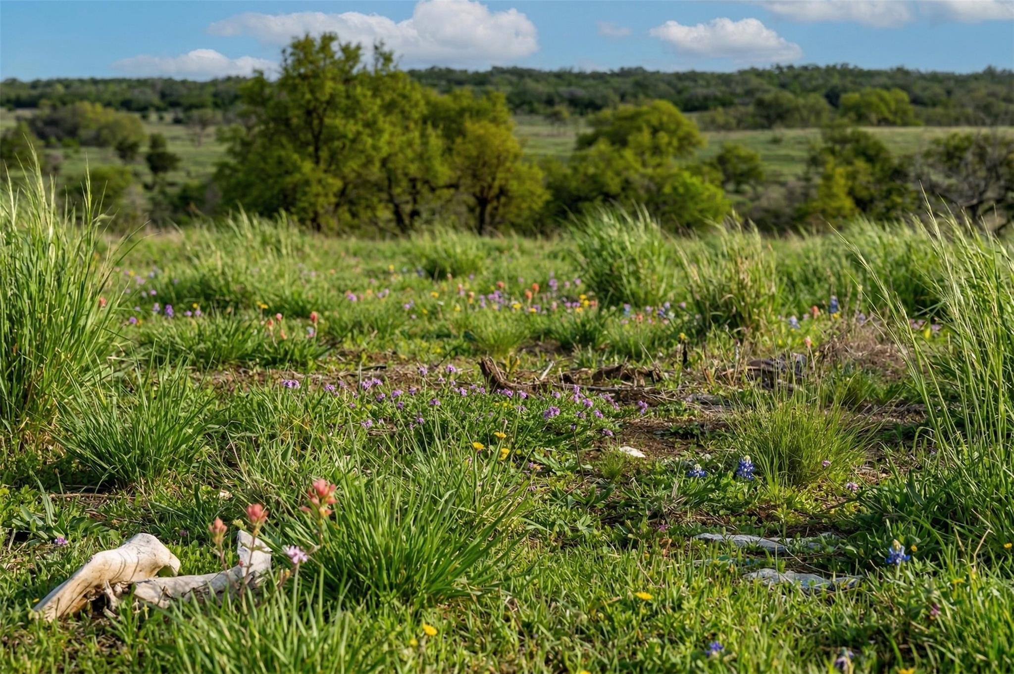 Lot 20 Gracewood Way Dripping Springs TX 78620