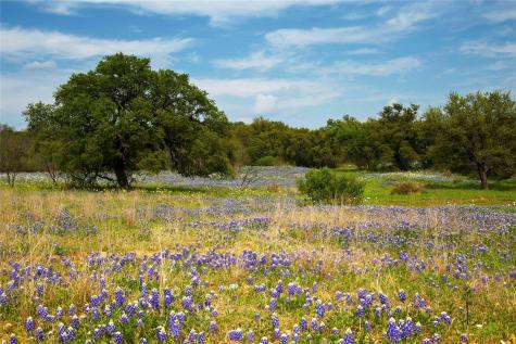 Lot 20 Gracewood Way Dripping Springs TX 78620