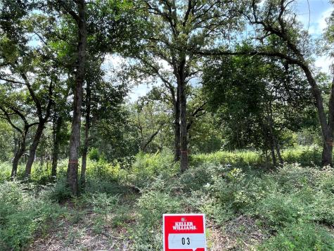 1300 Cypress Trail Loop Rockdale TX 76567