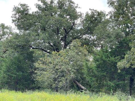 1300 Cypress Trail Loop Rockdale TX 76567