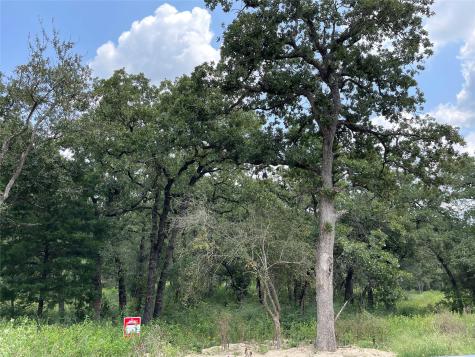 1300 Cypress Trail Loop Rockdale TX 76567