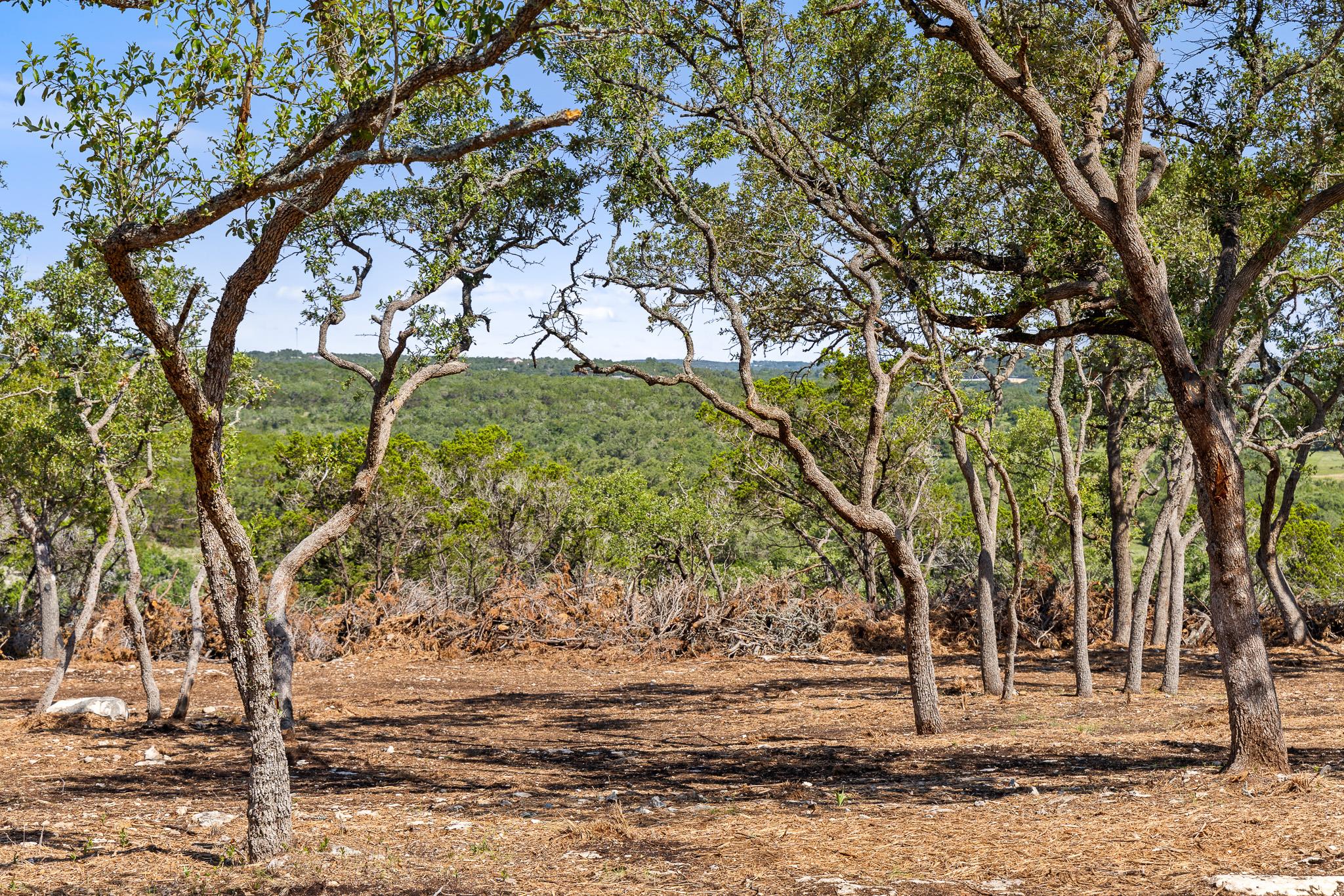 9475 Fm 32, Lot 15 Fischer TX 78623