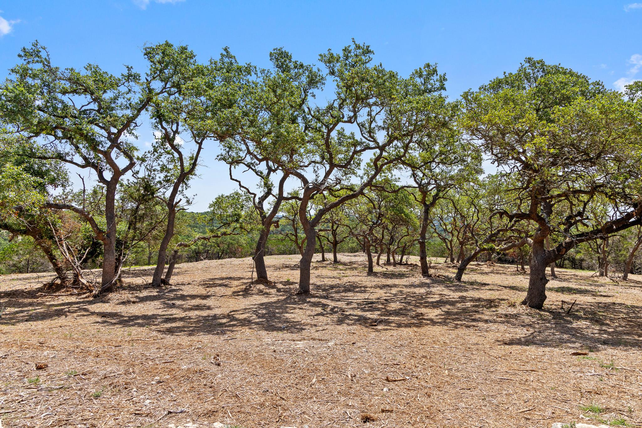 9475 Fm 32, Lot 15 Fischer TX 78623