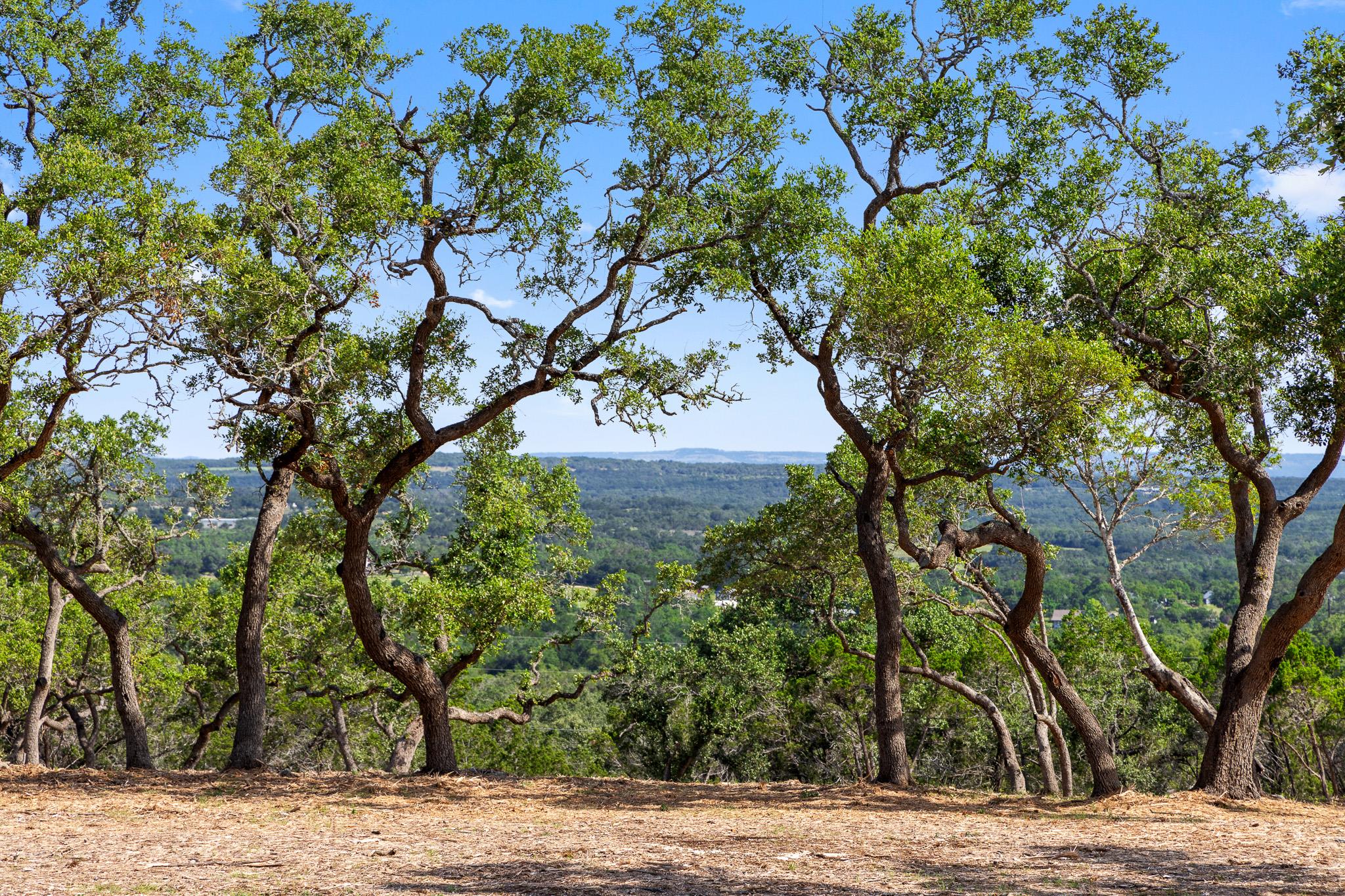 9475 Fm 32, Lot 15 Fischer TX 78623