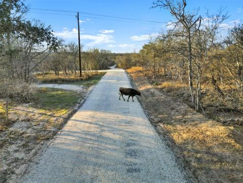 Tract 4 Us Highway 90 Alt Seguin TX 78155
