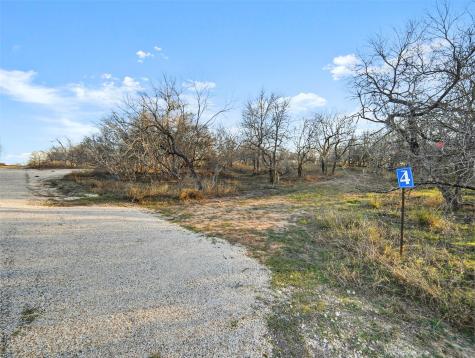 Tract 4 Us Highway 90 Alt Seguin TX 78155