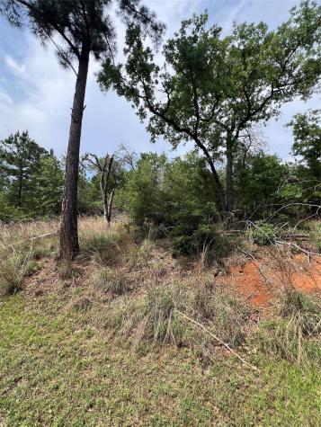 Lot 1671 Tbd Moku Court Bastrop TX 78602