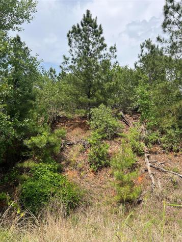Lot 1671 Tbd Moku Court Bastrop TX 78602