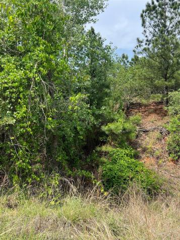Lot 1671 Tbd Moku Court Bastrop TX 78602