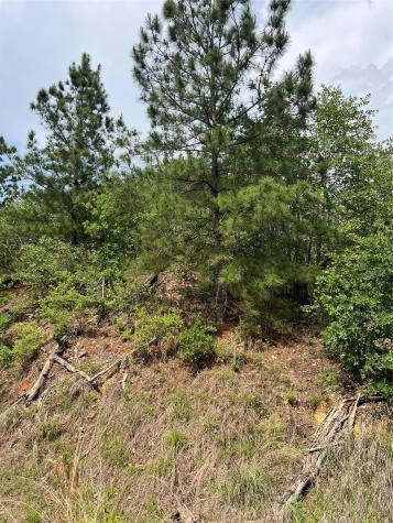 Lot 1671 Tbd Moku Court Bastrop TX 78602