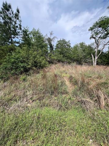 Lot 1671 Tbd Moku Court Bastrop TX 78602