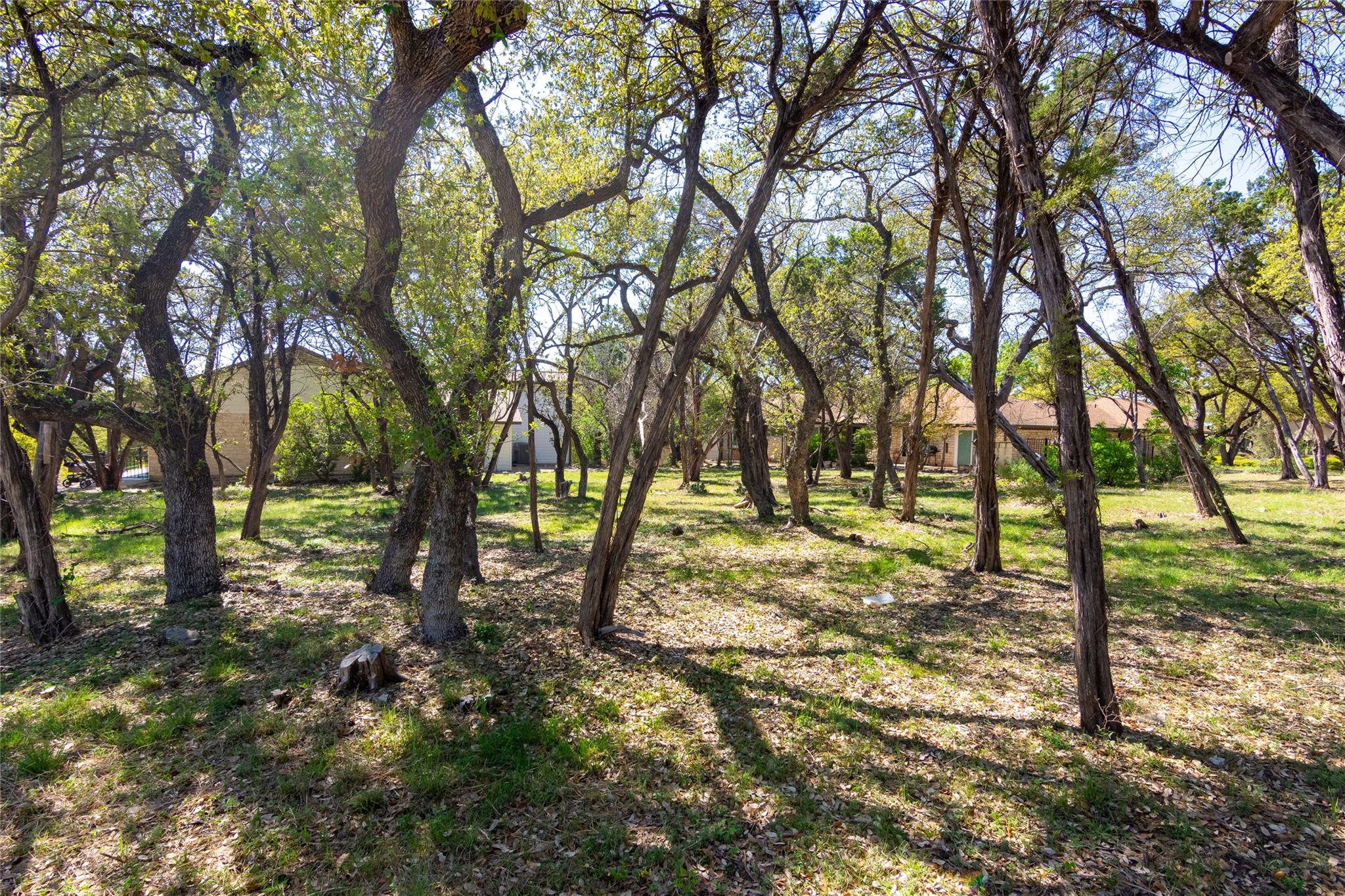 113 Spellbrook Lane Lakeway TX 78734