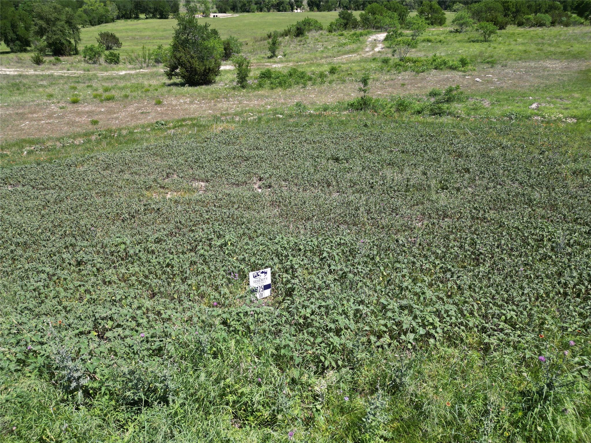Lot 25 Serenity Drive Bertram TX 78605