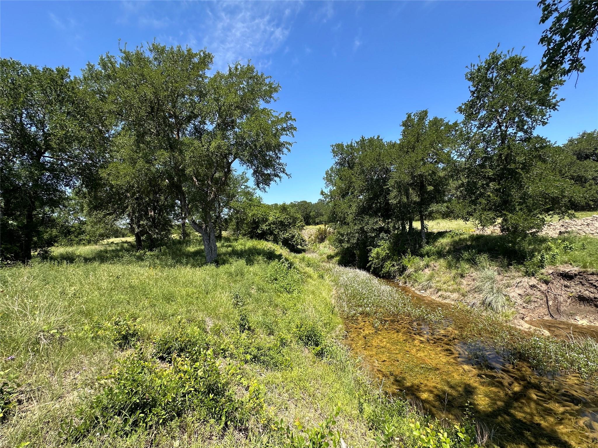 Lot 25 Serenity Drive Bertram TX 78605