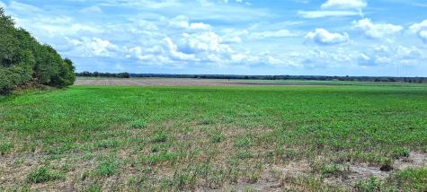 3135 Cr 432 Road Thorndale TX 76577