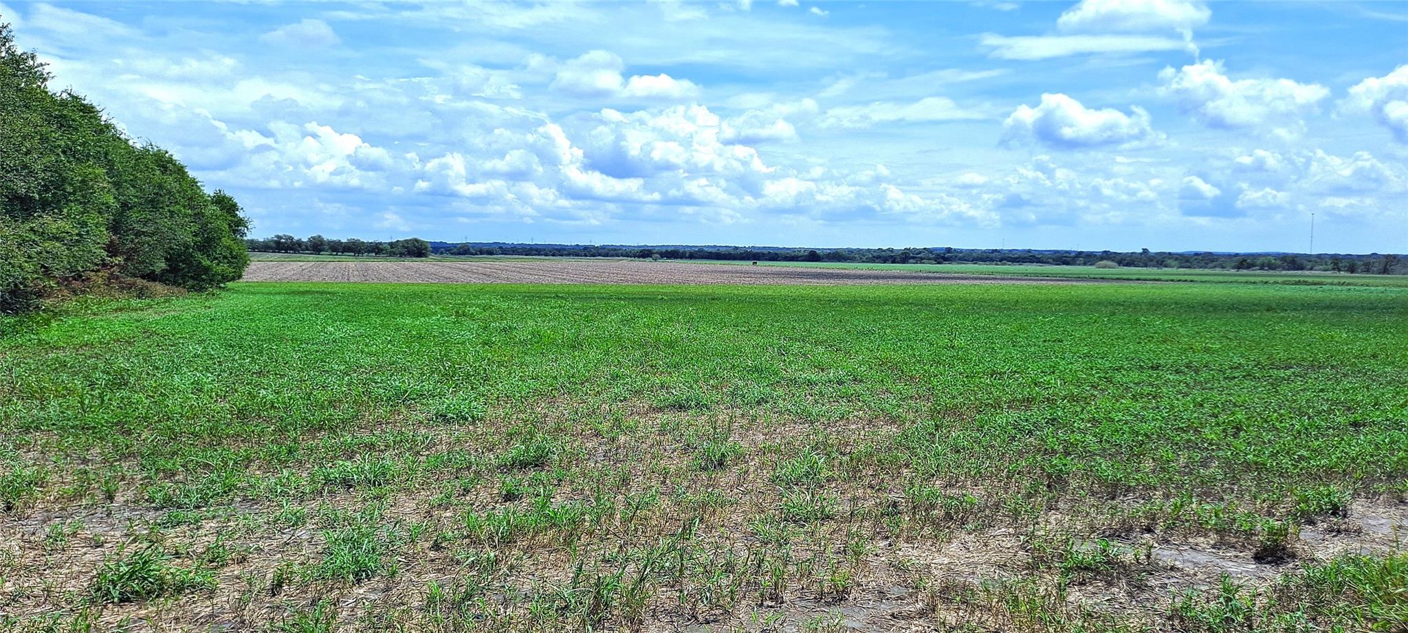 3135 Cr 432 Road Thorndale TX 76577