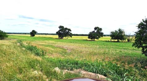 3135 Cr 432 Road Thorndale TX 76577