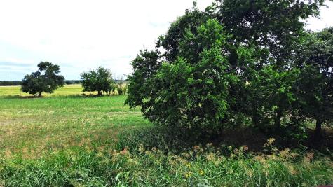 3135 Cr 432 Road Thorndale TX 76577