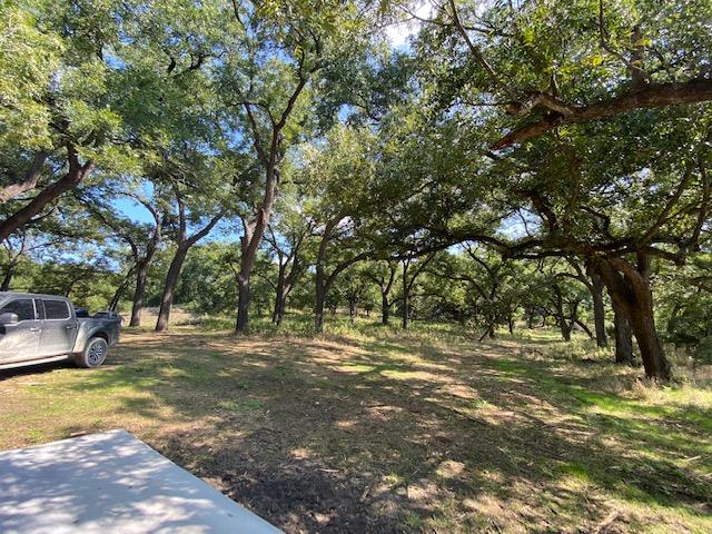 Lot 6 Cattle Trail Kempner TX 76539