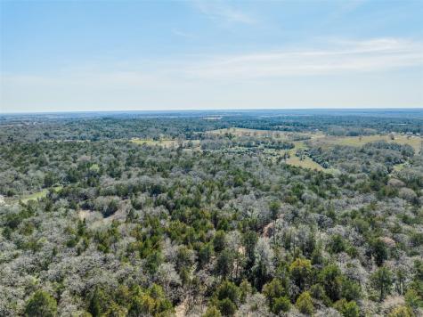 Lot 2 (4.81 Acres) Pauline Lane Caldwell TX 77836