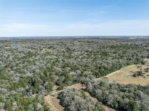Lot 2 (4.81 Acres) Pauline Lane Caldwell TX 77836