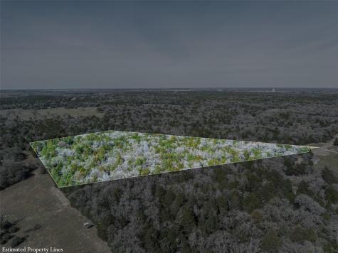 Lot 2 (4.81 Acres) Pauline Lane Caldwell TX 77836