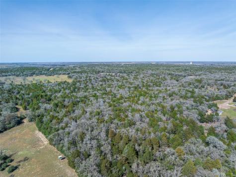 Lot 2 (4.81 Acres) Pauline Lane Caldwell TX 77836