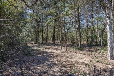 Lot 2 (4.81 Acres) Pauline Lane Caldwell TX 77836