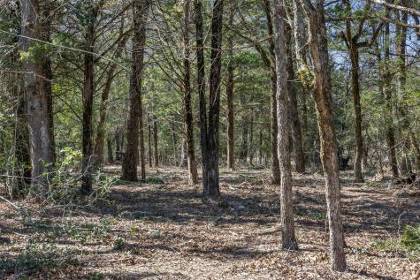 Lot 2 (4.81 Acres) Pauline Lane Caldwell TX 77836