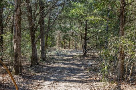 Lot 2 (4.81 Acres) Pauline Lane Caldwell TX 77836