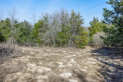 Lot 2 (4.81 Acres) Pauline Lane Caldwell TX 77836