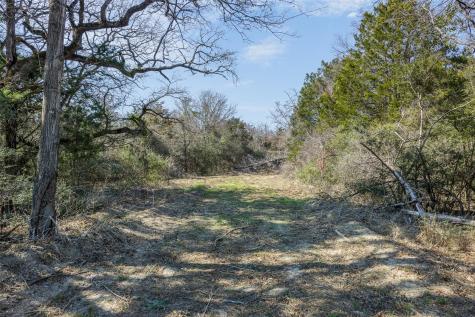 Lot 2 (4.81 Acres) Pauline Lane Caldwell TX 77836