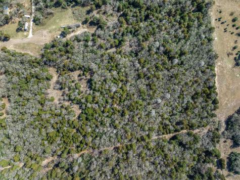 Lot 2 (4.81 Acres) Pauline Lane Caldwell TX 77836