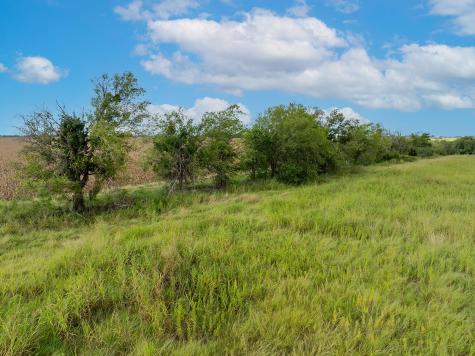 5275 Cr 424 Road Thrall TX 76578