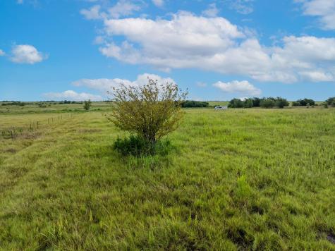 5275 Cr 424 Road Thrall TX 76578