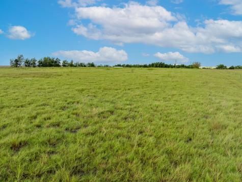 5275 Cr 424 Road Thrall TX 76578