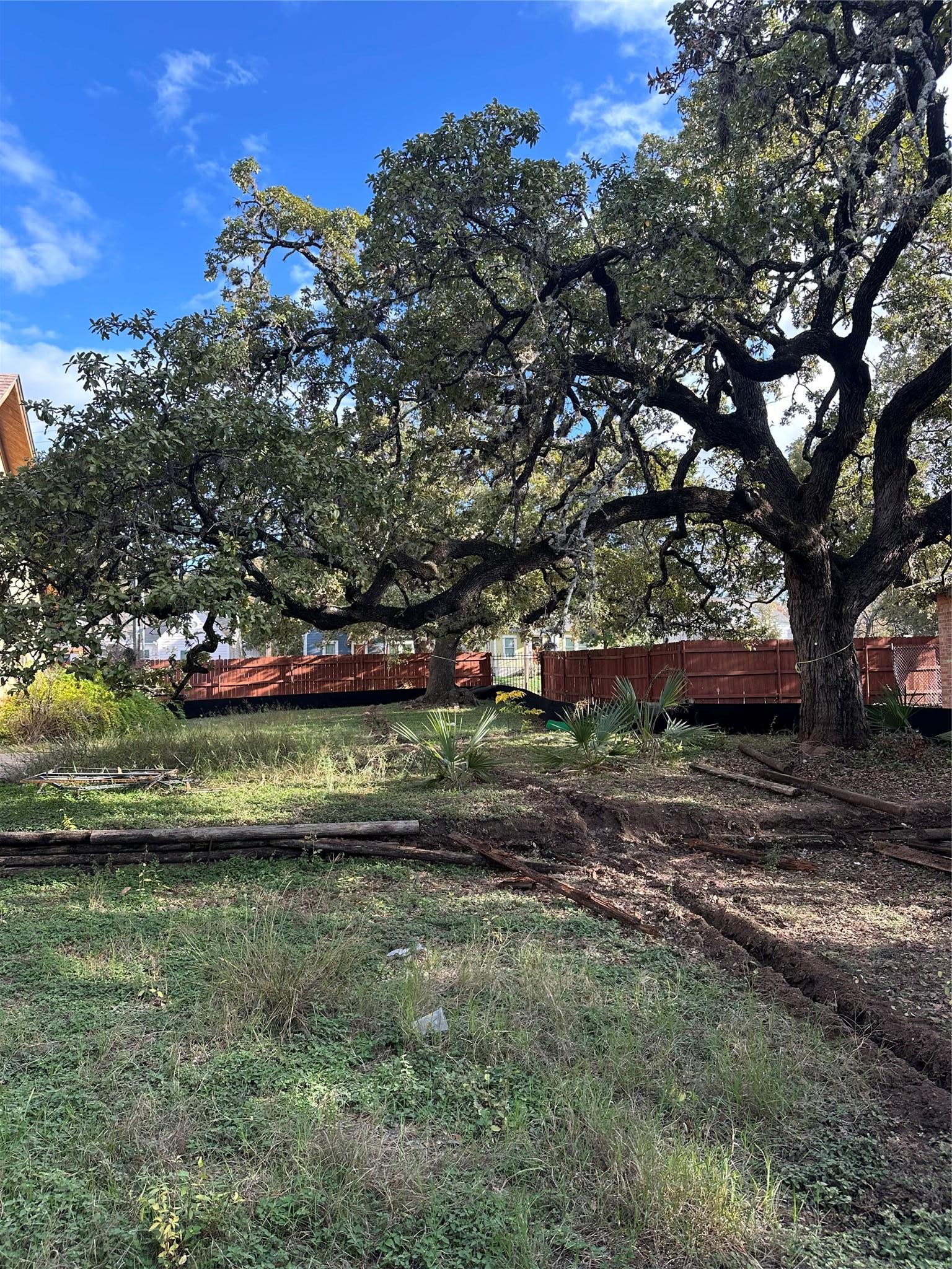 406 W Live Oak Street Austin TX 78704