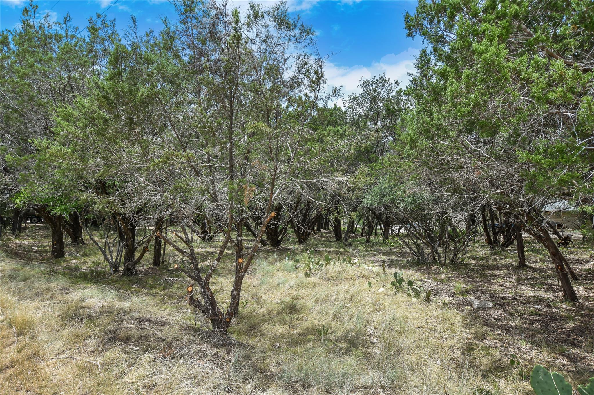 Tbd Rimrock 935 Drive Lago Vista TX 78645