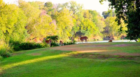 288 Kahana Lane Bastrop TX 78602