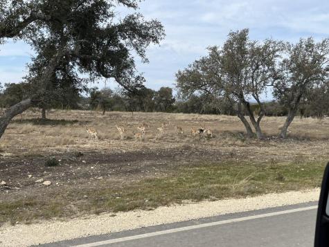 Lot 160 Brynn Drive Johnson City TX 78636