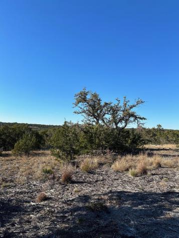 Lot 160 Brynn Drive Johnson City TX 78636