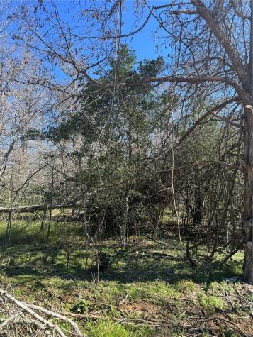 Lot 321 Kolekole Lane Bastrop TX 78602