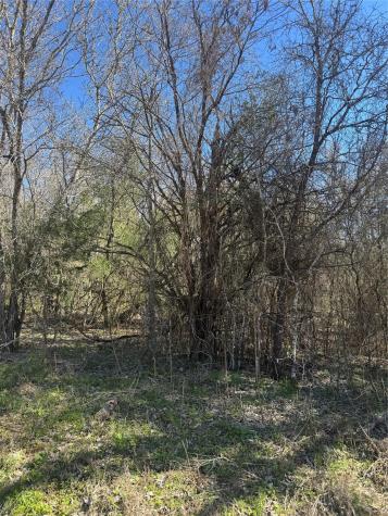 Lot 321 Kolekole Lane Bastrop TX 78602
