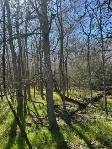 Lot 321 Kolekole Lane Bastrop TX 78602